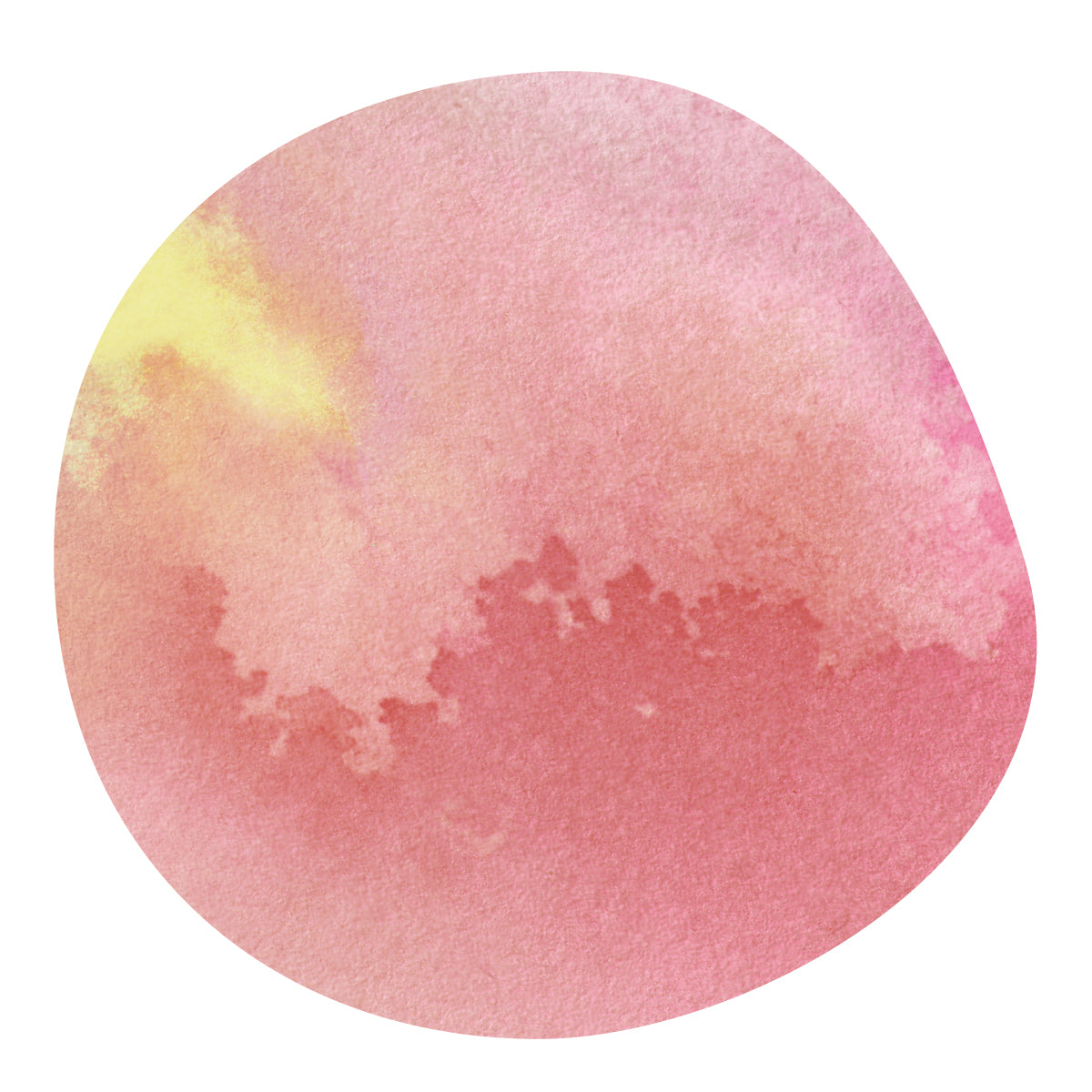 zgmf　製作依頼 販売終了】KOKOSE -74158- / Ethiopia – aoma coffee