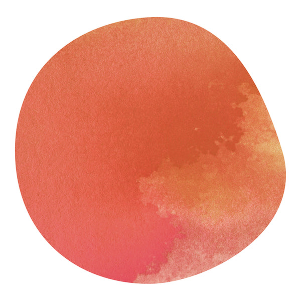 【NEW】FAMILIA DIAZ -Pacamara- / El Salvador