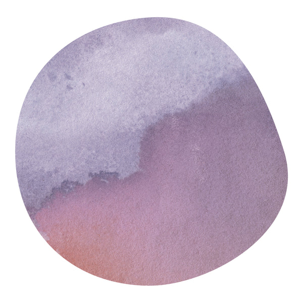 【NEW】THUNGURI -SL28, SL34, Ruiru11 & Batian- / Kenya