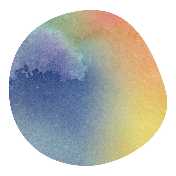 【NEW】＜COE N.W#1＞ FORTUNATO ARENAS -Catuai & Geisha- /  Peru