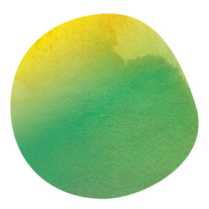 【販売終了】LISANDRO QUILCUE -Castillo- / Colombia