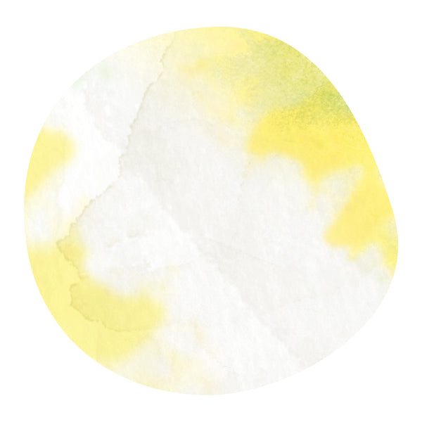 【NEW】JOSE ELANDIO -Catuai- / Costa Rica