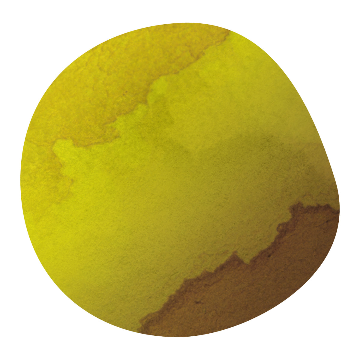 ANASTACIO CHAMBI -Bourbon & Geisha- / Peru packshot