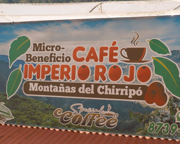 【NEW】JOSE ELANDIO -Catuai- / Costa Rica