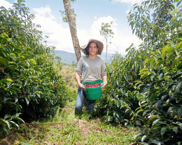 【NEW】＜N.W #3＞ NANCY ANDRADE -Geisha- /  Peru