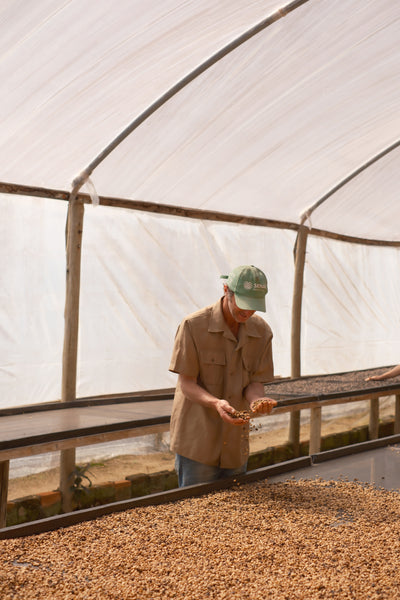 【NEW】＜ESPA #4＞ FABIANO TOMAZINI -Catucai 785- /  Brazil