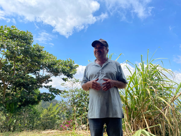 【NEW】JUAN CARLOS JUAREZ -Geisha- / Honduras