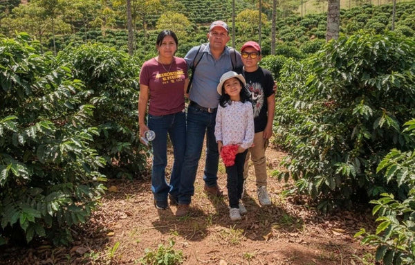 【NEW】＜COE N.W#1＞ FORTUNATO ARENAS -Catuai & Geisha- /  Peru