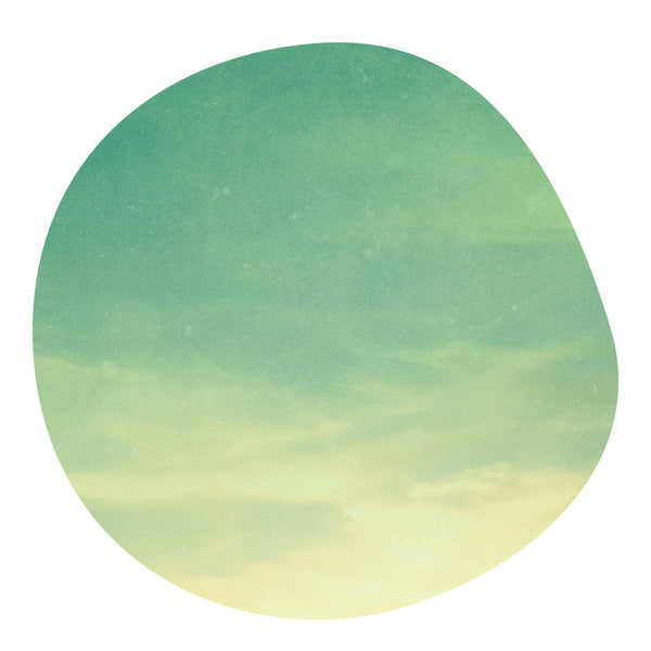 ELDER CHAVEZ -Geisha- /  Honduras