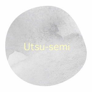 【販売終了】＜Limited＞ Utsu-semi /  BLEND