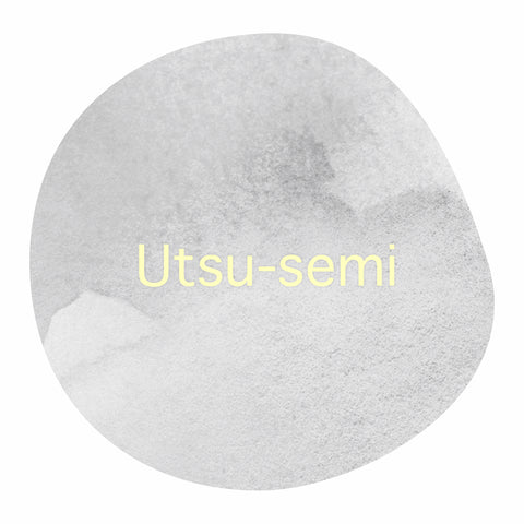 【販売終了】＜Limited＞ Utsu-semi /  BLEND